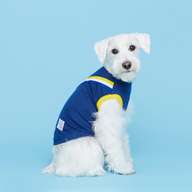 플로트 V라인 민소매 티셔츠 강아지옷 | 네이비