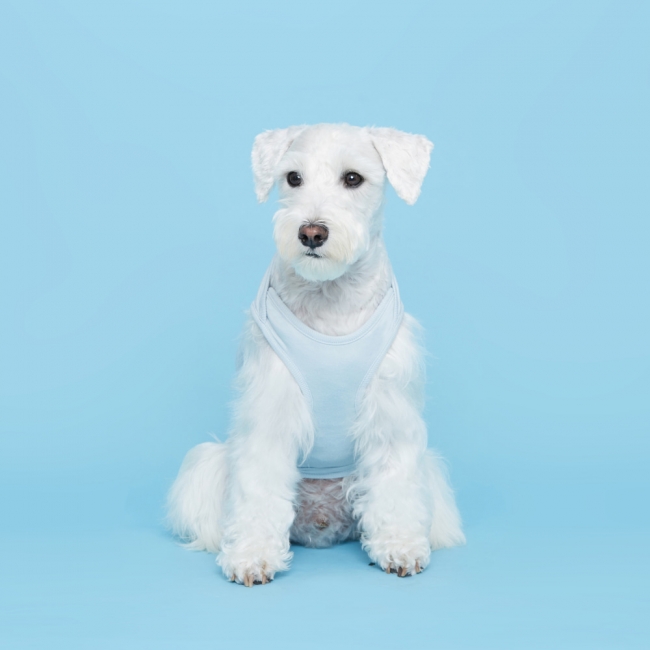 플로트 민소매 티셔츠 강아지옷 | 스카이