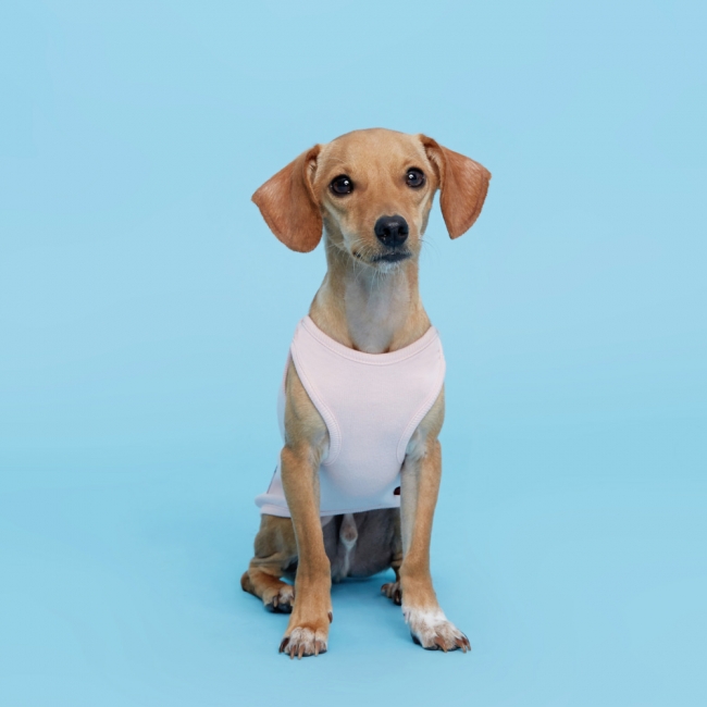 플로트 민소매 티셔츠 강아지옷 | 핑크