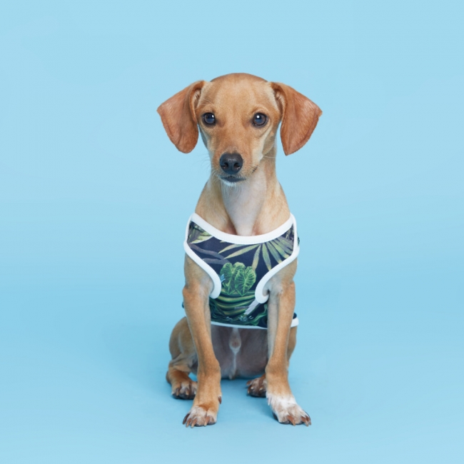 플로트 강아지옷 민소매 티셔츠 | 하와이안 블랙