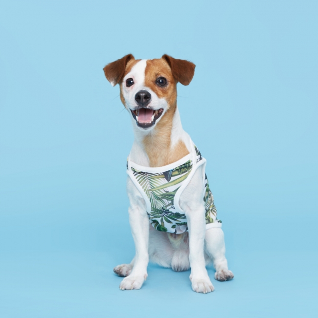 플로트 민소매 티셔츠 강아지옷 | 하와이안 화이트