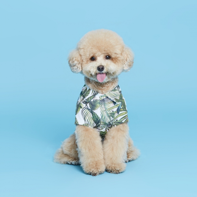 플로트 하와이안 셔츠 강아지옷 | 화이트